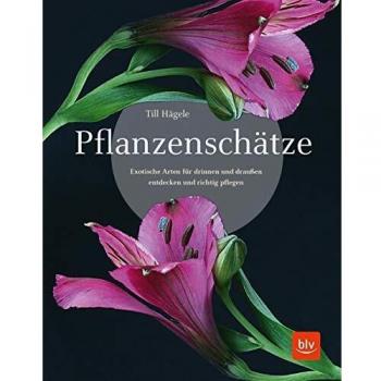Pflanzenschätze: Exotische Arten für drinnen und draußen entdecken und richtig pflegen