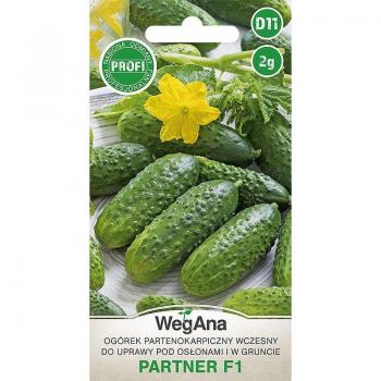 Hybride F1 Concombre Mariné – 2 g Graines Légumes – WegAna