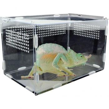 Durable Acrylic Feeding Box for Reptiles