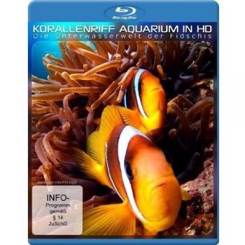 Korallenriff Aquarium in HD
