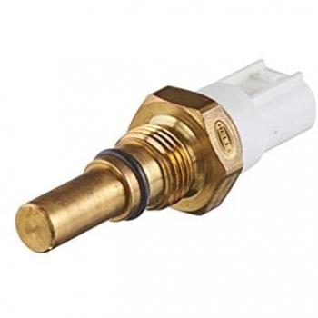 Ventilador Térmico Radiador Hellla 6ZT 014 397-021
