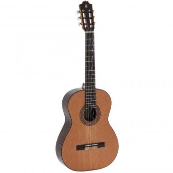 Admira A50 Beginner Guitar