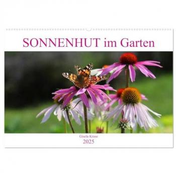 Sonnenhut im Garten (Wandkalender 2025 DIN A2 quer) CALVENDO Monatskalender