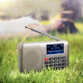 Mini Altavoz Solar con Luz de Peligro Dorada