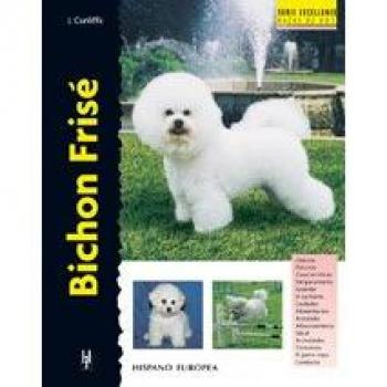 Bichon Frisé (Excellence)