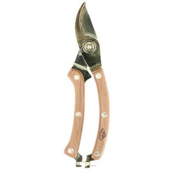 Amber Fruit Cutter