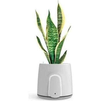 Vitesy PureAir Natede Smart