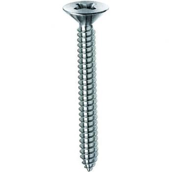 10 Vis Autofilettantes TSP 4,2x13mm Zinc