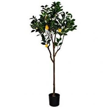 Home Decor Zitronenbaum (Polyester) – 74×74×150 cm