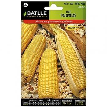 Semillas de Maíz Palomitas