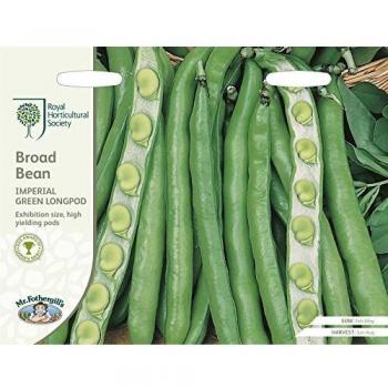 Mr Fothergills Vegetable Seeds