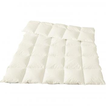 Traumina Bio Daunendecke Plume Daunen/Feder Champagner
