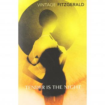 Tender Is the Night Paperback F. Scott Fitzgerald