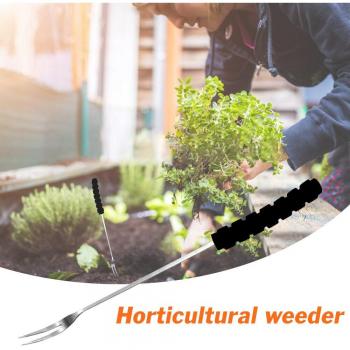 Multifunction Weeder