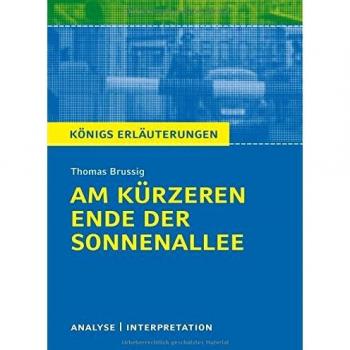 Am kürzeren Ende der Sonnenallee. Textanalyse und Interpretation zu Thomas Brussig