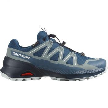 Salomon Laufschuhe Speedcross Peak Gore-Tex L47604000 Schwarz 40 female