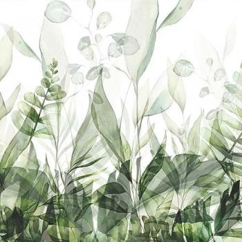 Selva Urbana: Papel de Pared Fotográfico 180x120 cm