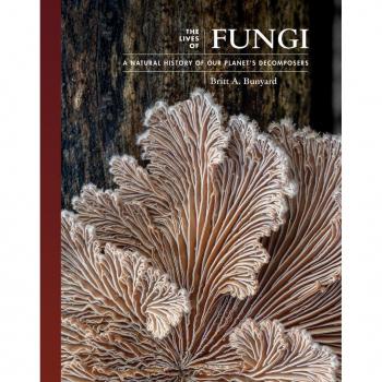 Vitalsource Technologies, Inc. Lives of Fungi