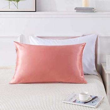 Eternal Silk Mulberry Pillow