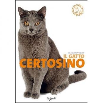Il gatto certosino