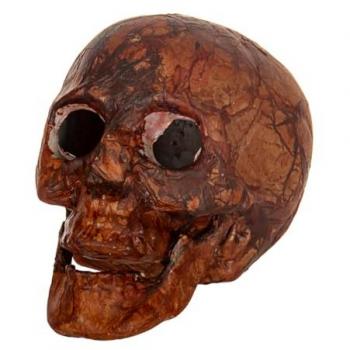 Blutverschmierter Totenkopf mit Licht