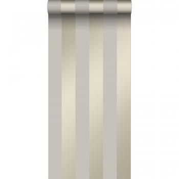 Papier peint à rayures taupe