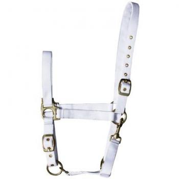 Pferdehalfter „Harry's Horse“ – 1,05 m, 11 kg, elastisch verstellbar