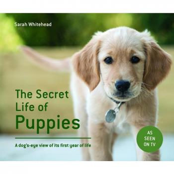 The Secret Life of Puppies