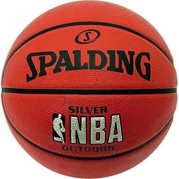 Spalding Basketball 5 Inch NBA Silber Outdoor