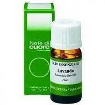 Lavandellust Essenz 10 ml