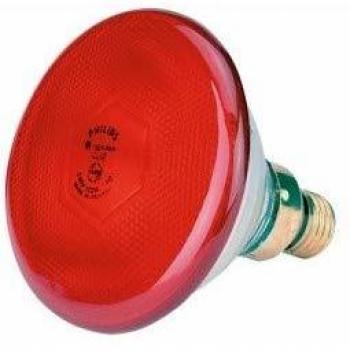E27 Infraphil PAR38 Red Lamp 100W
