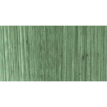 Green Terra Oil Colour – 1.33 oz