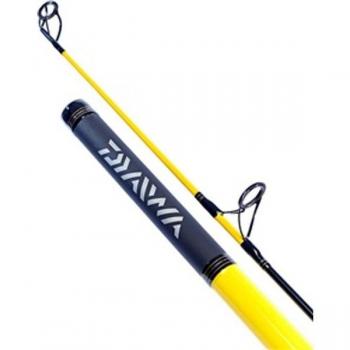 Daiwa Saltist Surf Rod 13'6 100-200g 2pc