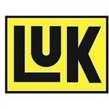 LUK 411 0127 10 Flywheel Screw Set