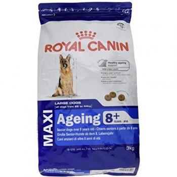 Royal Canin Maxi Ageing 8+ Dog Food for Large Aged Dogs