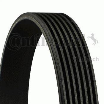 CONTITECH 7 PK 1516 Cinghie Trapeiz
