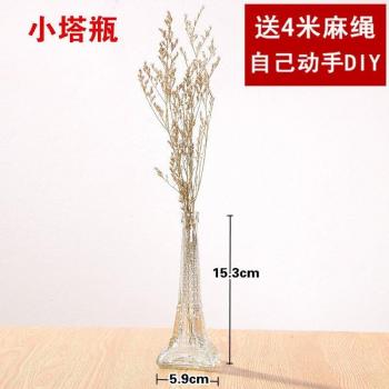 Modern Hydroponic Glass Flower Vase