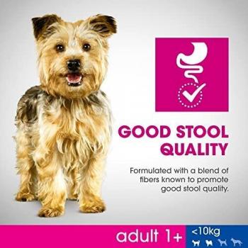 Perfect Fit Adult Hundefutter für kleine Hunde, 6 kg