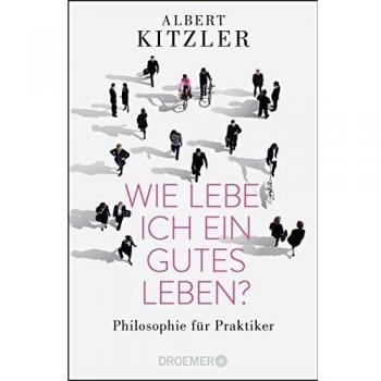 Wie lebe ich ein gutes Leben?: Philosophie für Praktiker