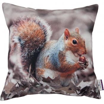 Tom Tailor 564264 T‑Print Waldtiere Kissenbezug – Baumwolle, Natur, 43 × 43 × 1 cm