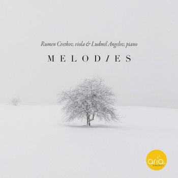 FFVII Radiant Melodies Mega Jacket