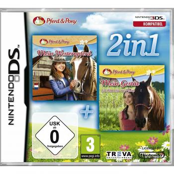 Nintendo DS