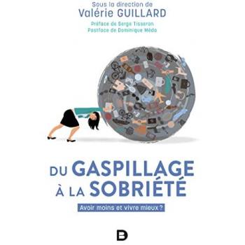 Du gaspillage à la sobriété : avoir moins et vivre mieux ?