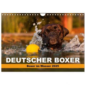 Deutscher Boxer