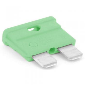 Fusibile per auto 30 A Verde chiaro 1 pz