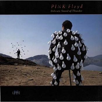 Pink Floyd Delicate Sound Of Thunder