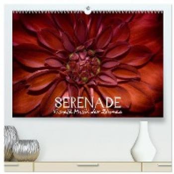 Serenade