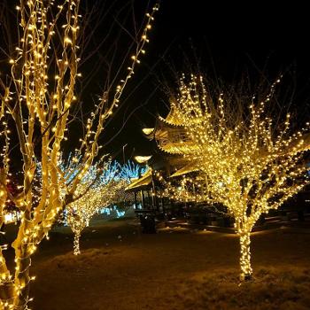 Outdoor Waterproof Fairy Light Chain 10M