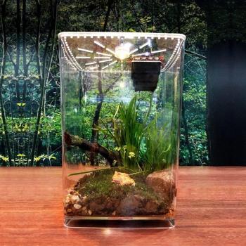 Spider Scorpion Incubation Box
