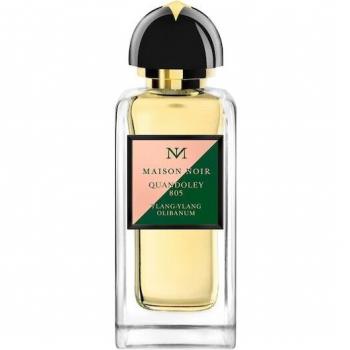 MAISON NOIR Quandoley 805 Parfum Spray 100 ml
